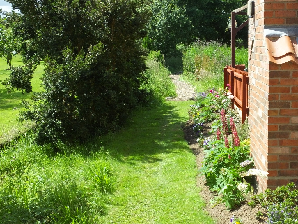 Side Garden