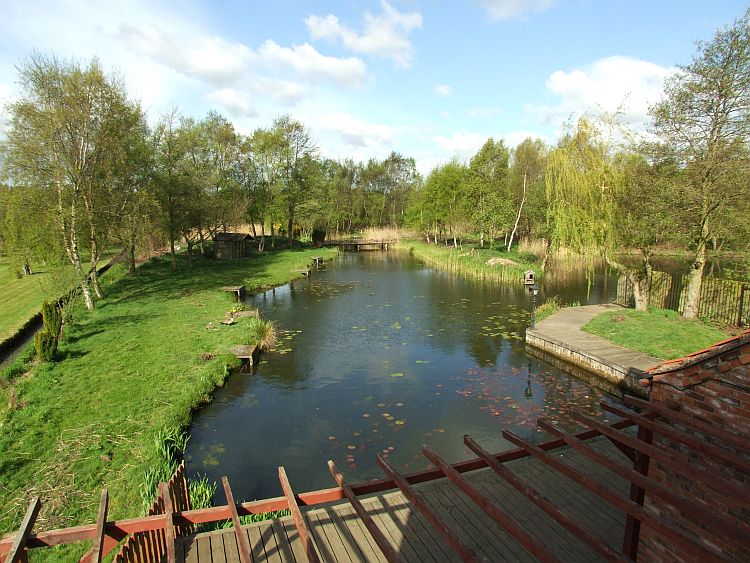 The Lake - First Morning