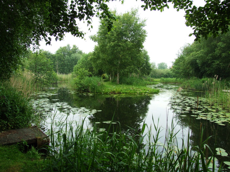 Looking North across Ruston
	Reaches