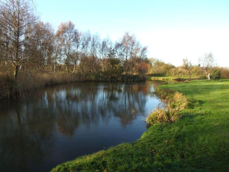 The Lake behind the
		Cottages
