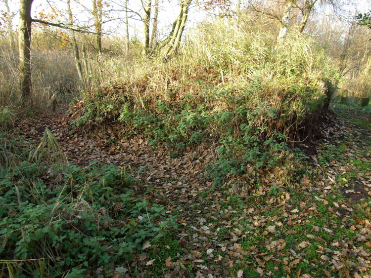 Start of the New Path