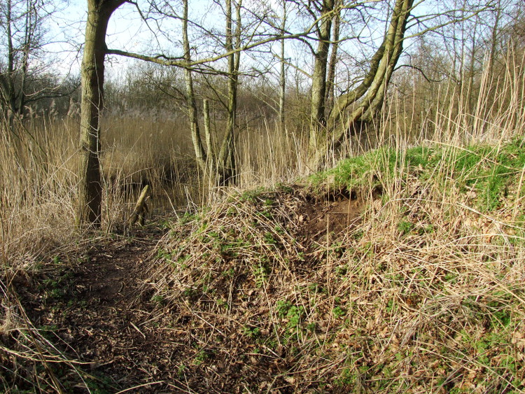 New Burrowing in an Embankment