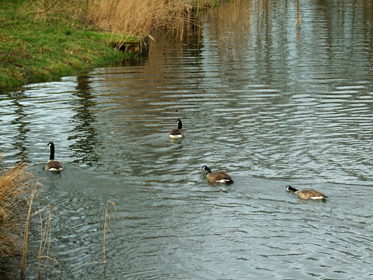 Build Up to an Attack