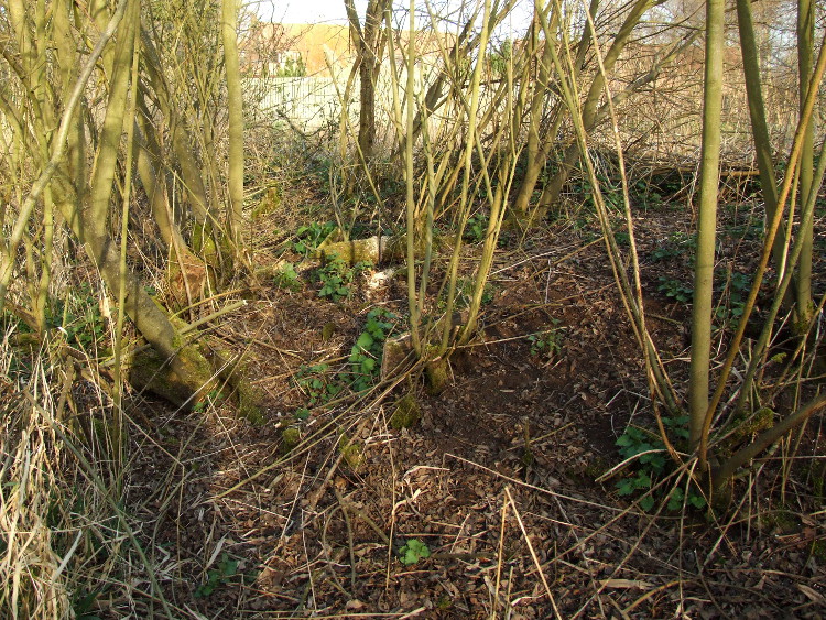 Choosing the Route
	of the New Path