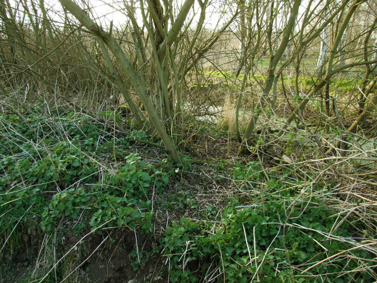 Choosing the Route
	of the New Path