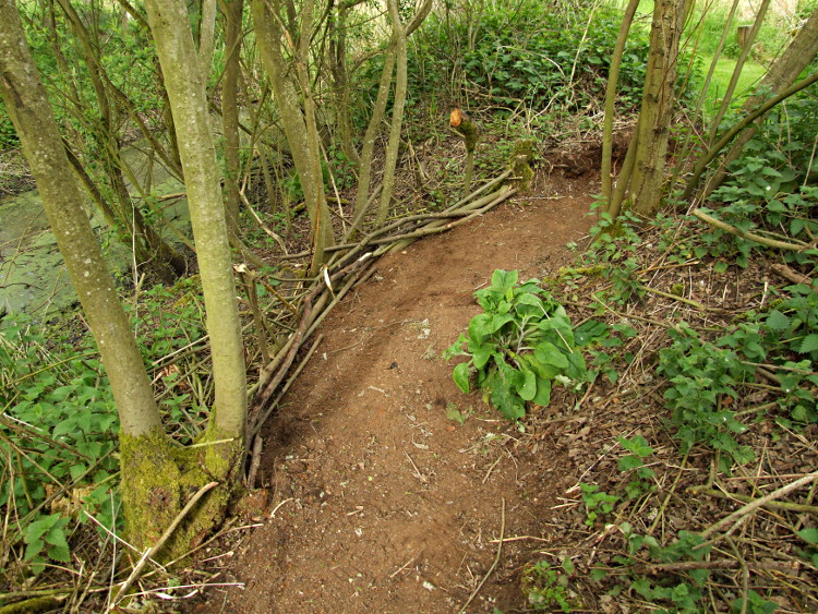 Embanking the New Path