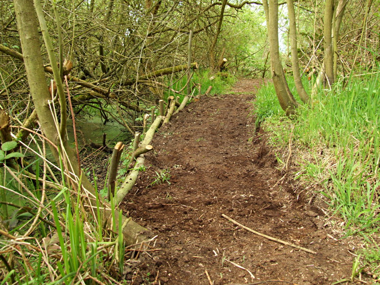 Embanking the New Path