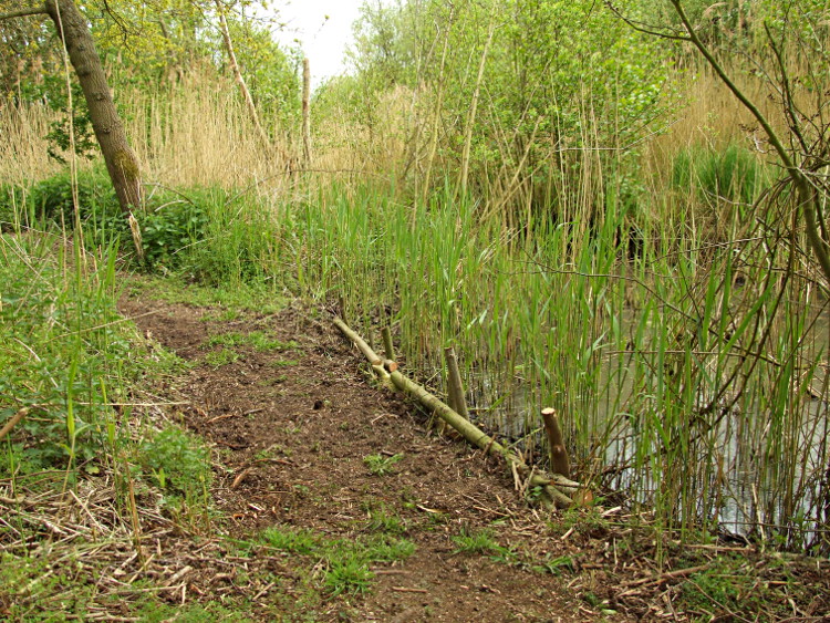 Embanking the New Path