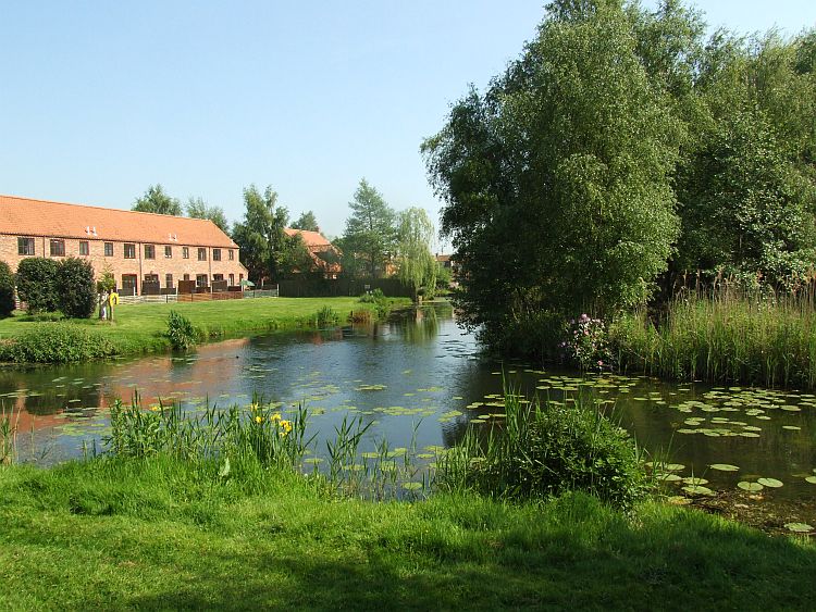 View In Front Of The Island