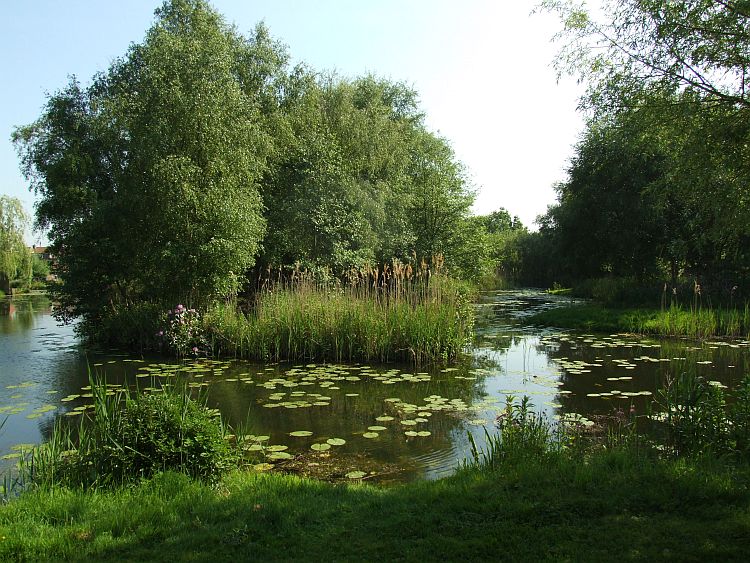 View Behind The Island