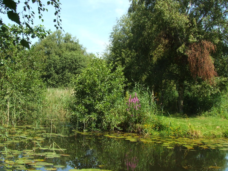 Beyond the Peninsula