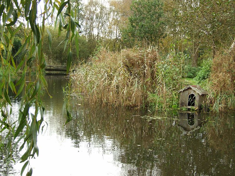 The Duck House