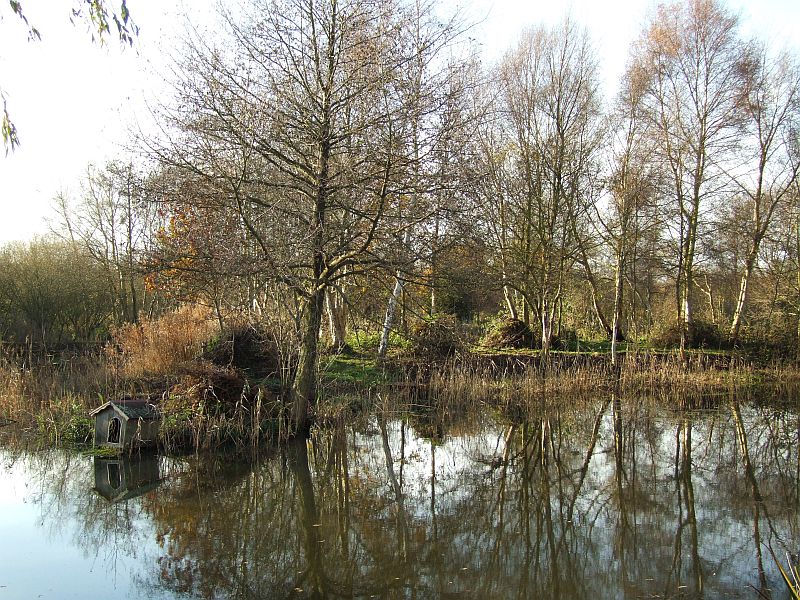 The Island Clearances