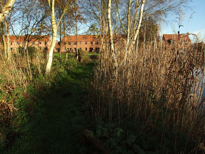 The Island Clearances