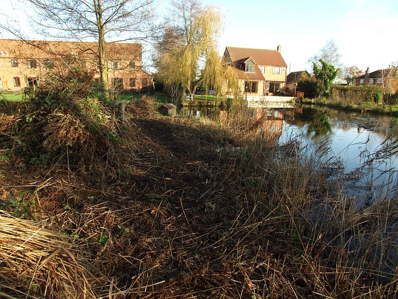 The Island Clearances