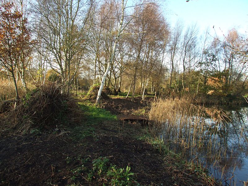 The Island Clearances