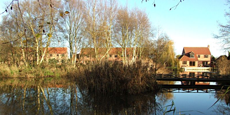 Mural View - November