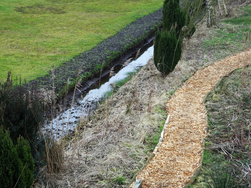 Dyke Water Level Low