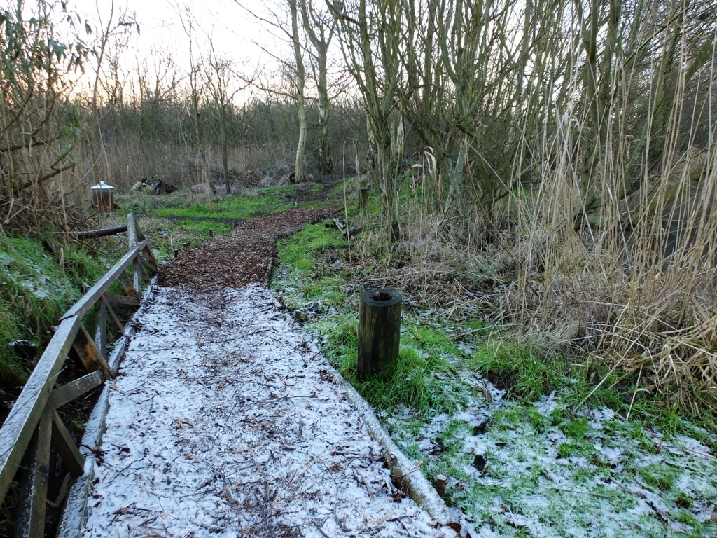Improving The Path