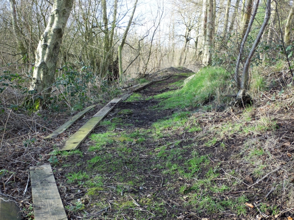 Path Edging