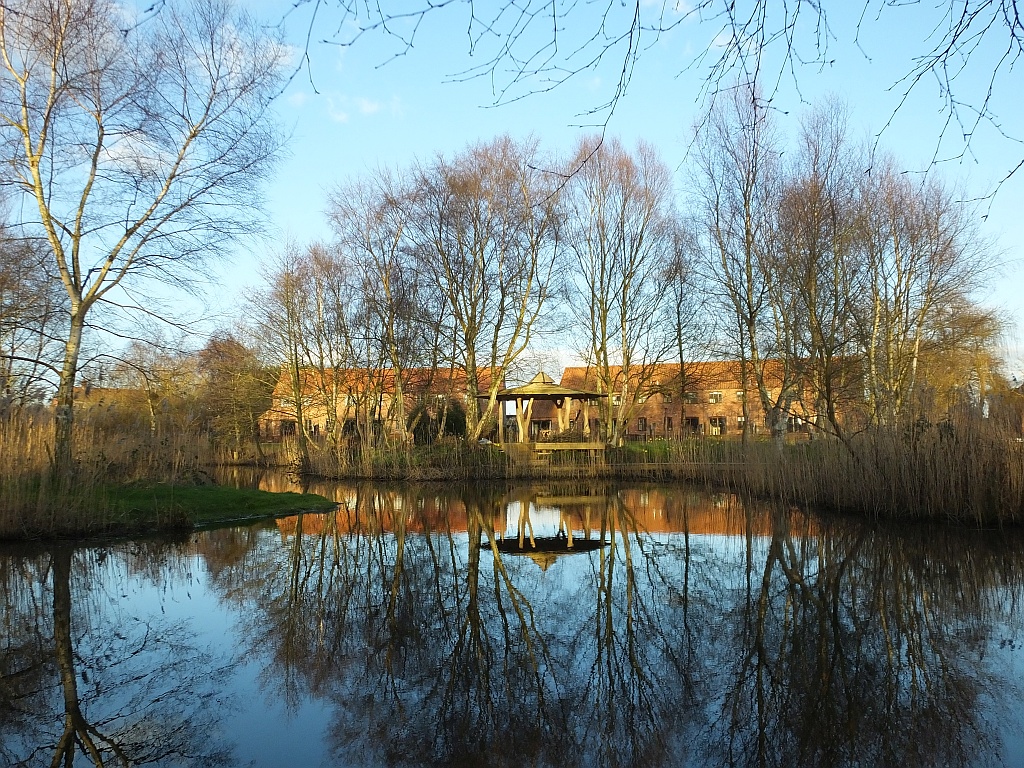 The Tree House