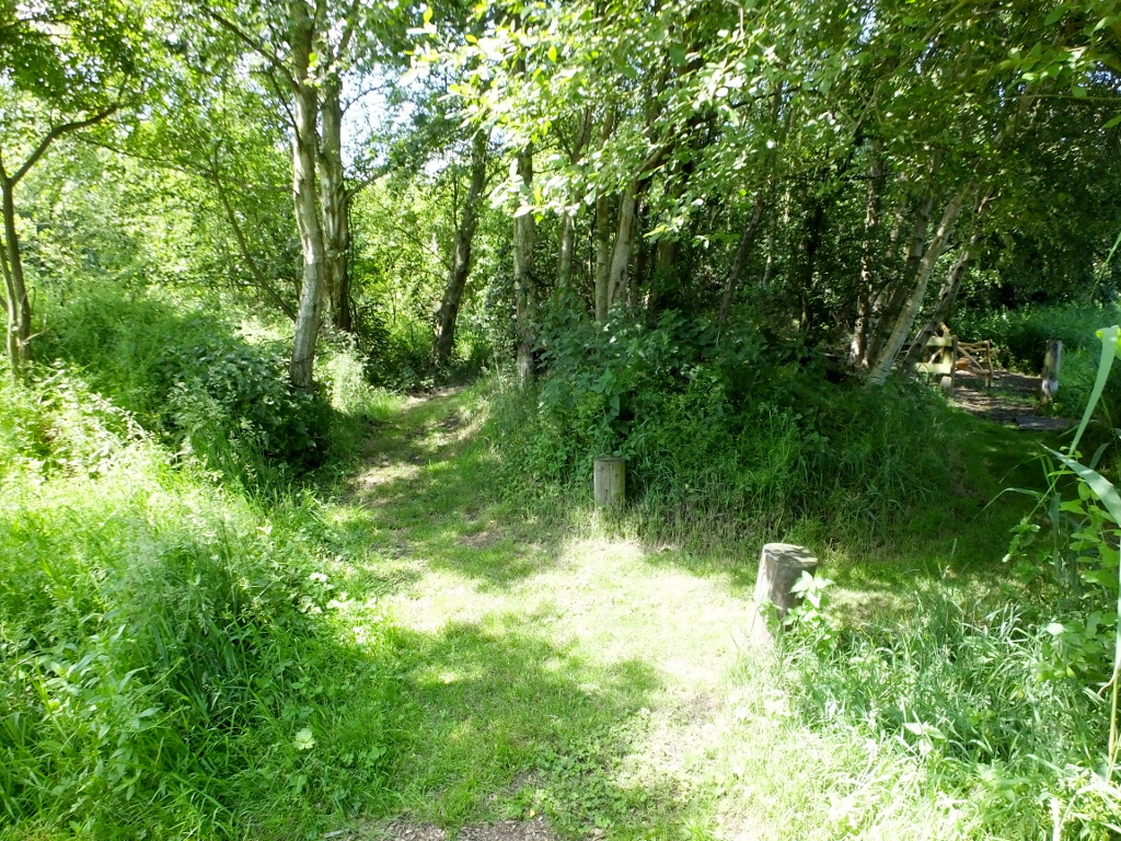 Path Junctions