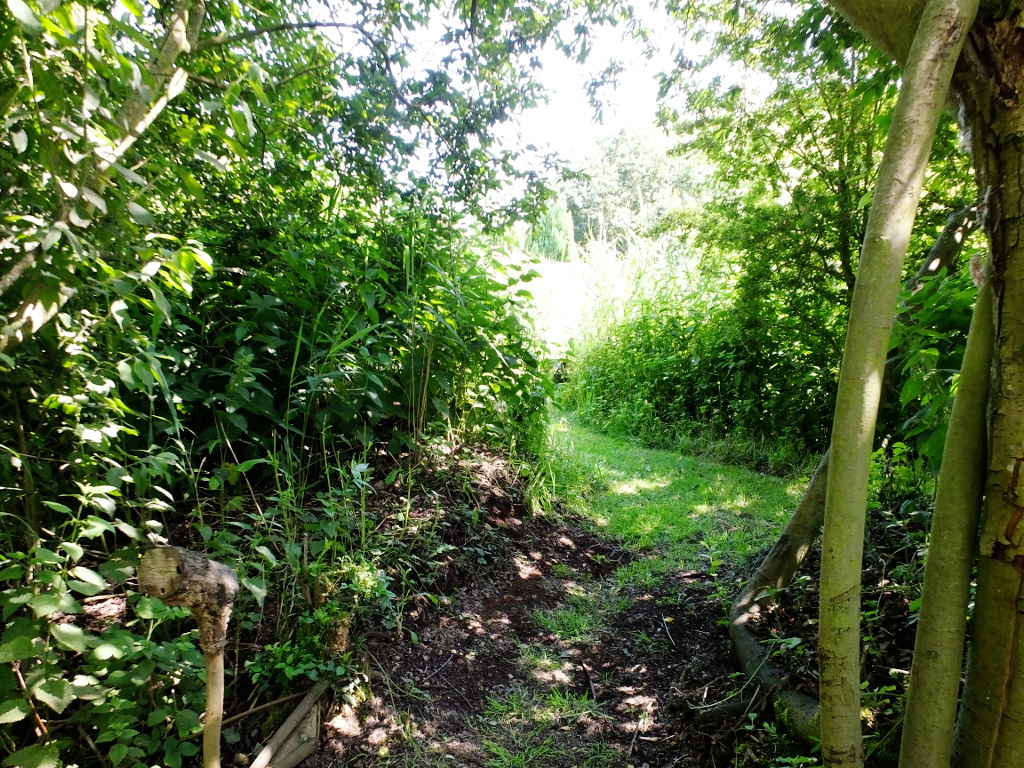 Main Path Junction