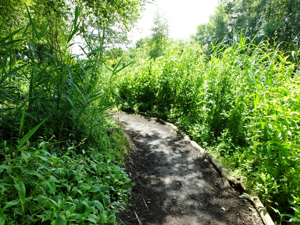 Rounding the Bend