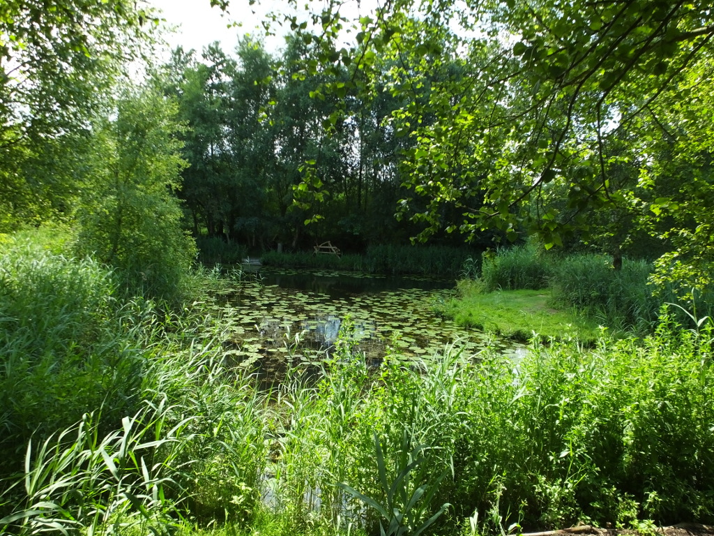 View from Site