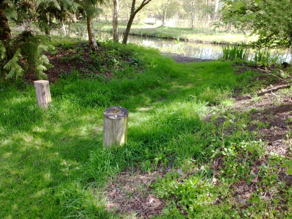 The Lake Spur