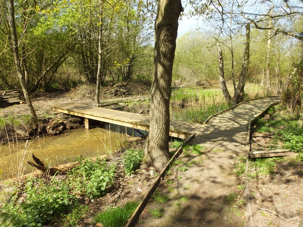 View South From The Bridge