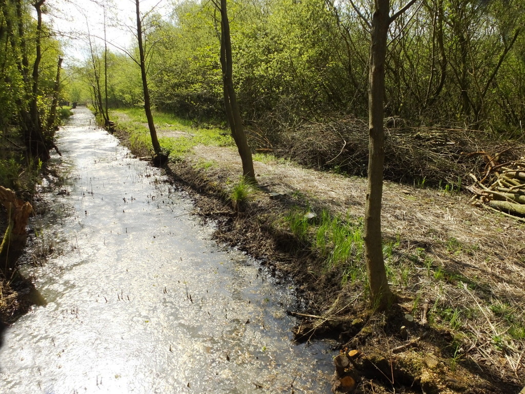View South From The Bridge