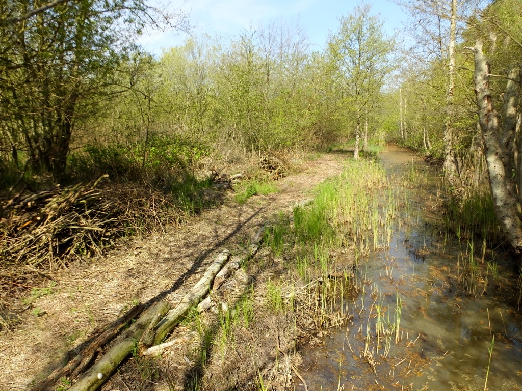 View North From The Bridge