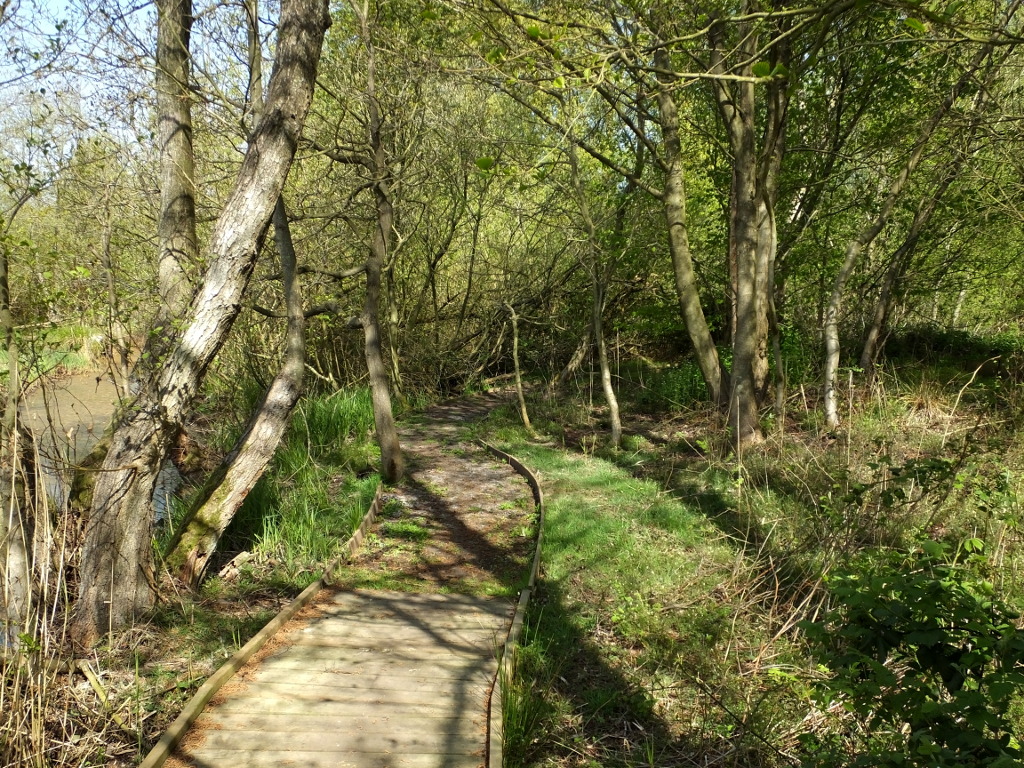 End Of The Boardwalk