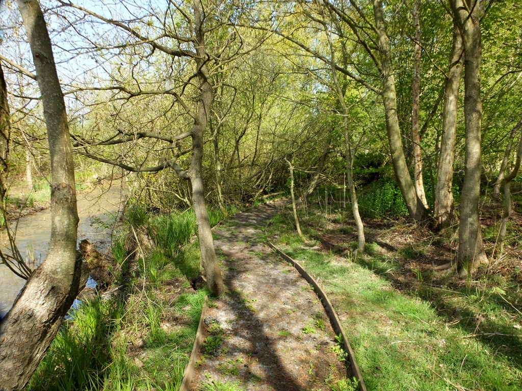Beside The Dyke