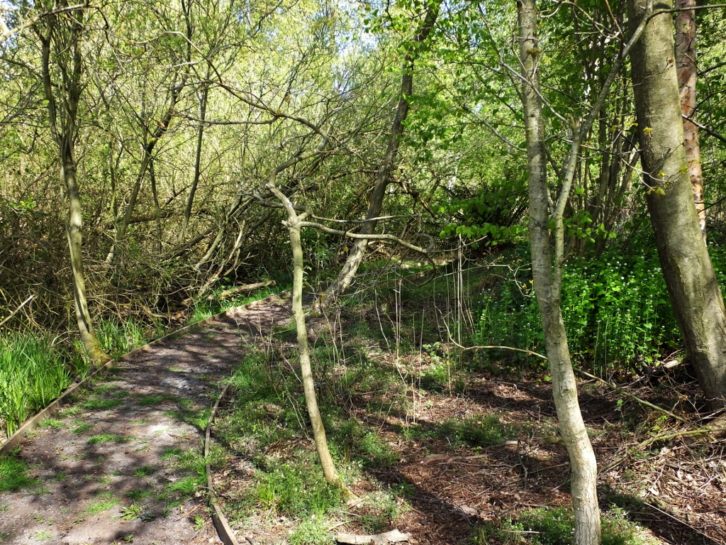 Approaching the North West Corner