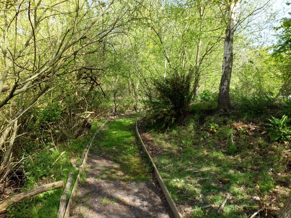 Fern Bank