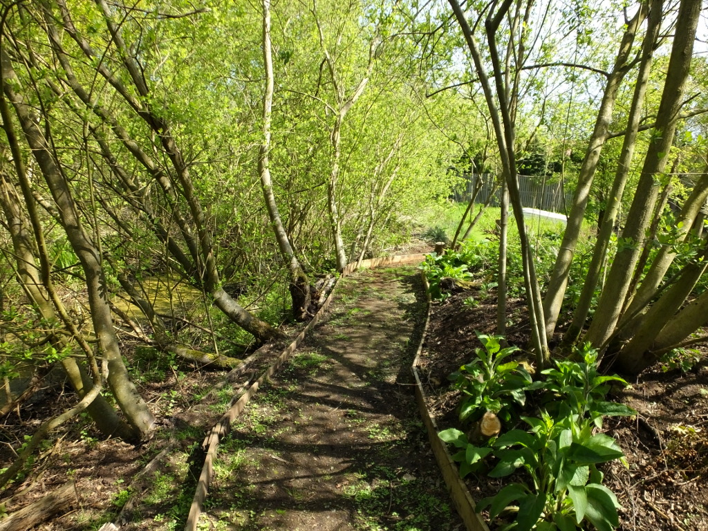 Completing the Turn to the East