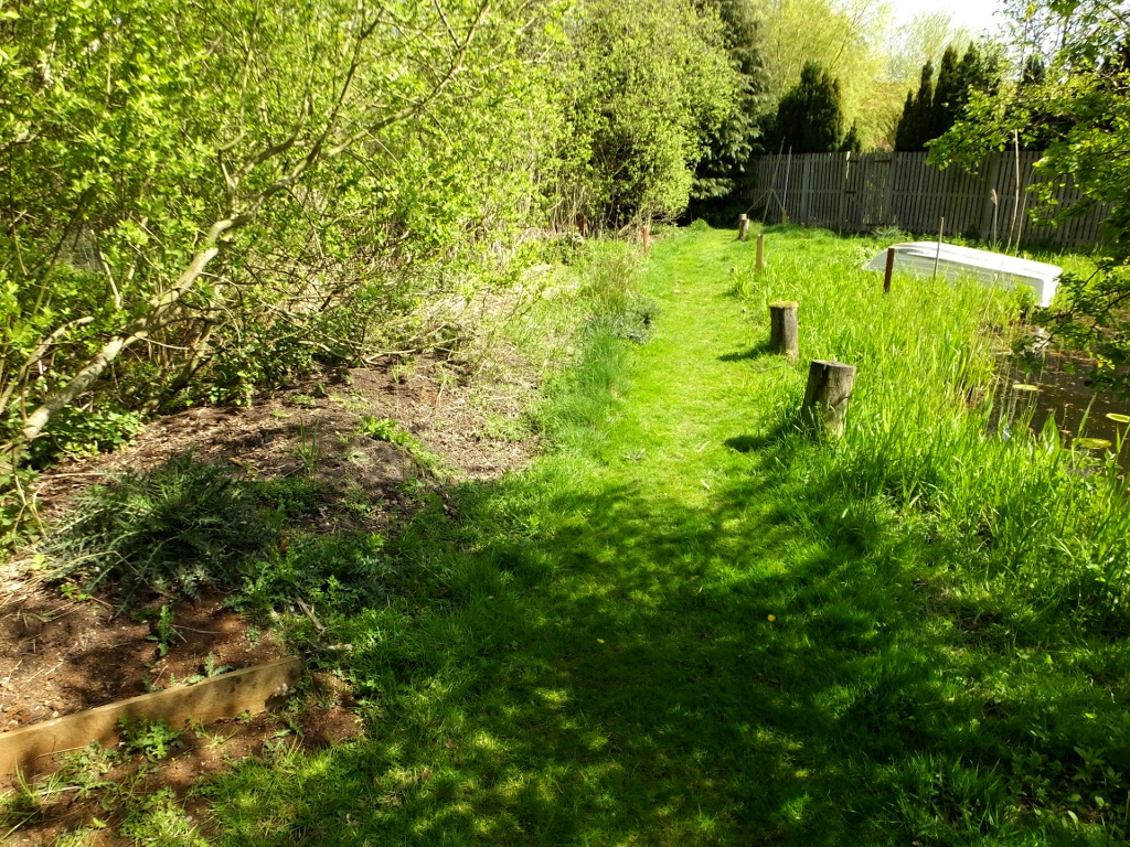Approaching The Fence