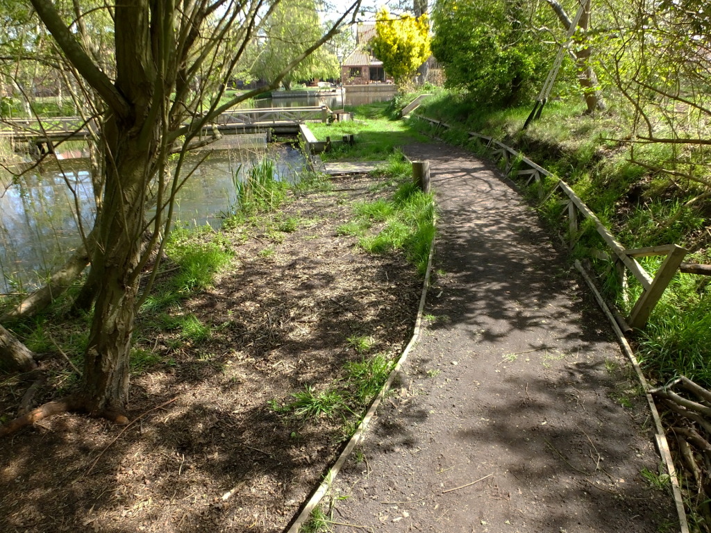 Beside The Reed Bed