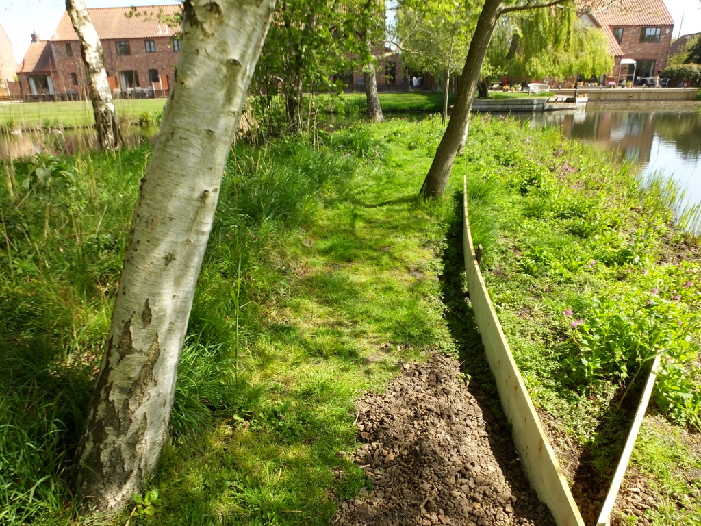 Towards An Oak