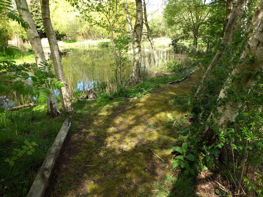 Swan Nest Junction