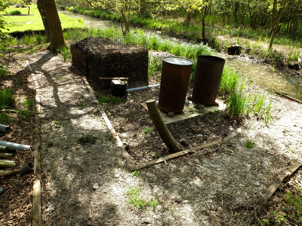 Behind The Reed Bed