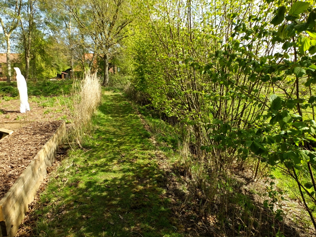 Beside The Reed Bed