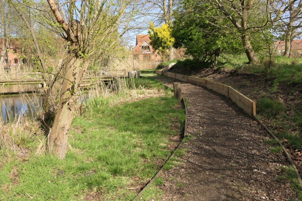 Beside The Reed Bed