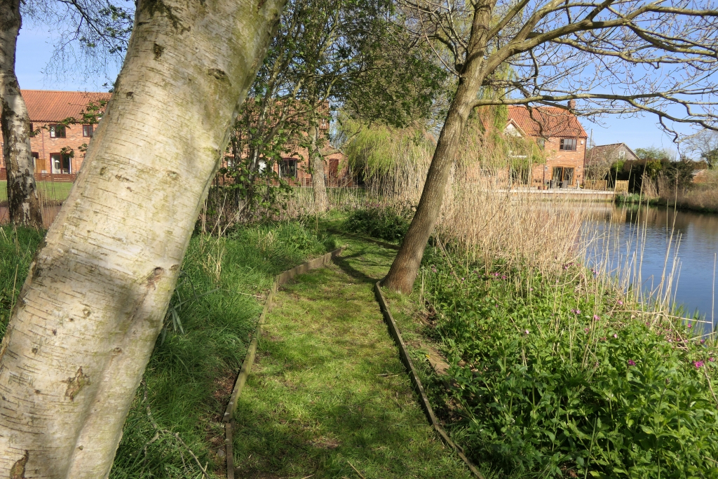 Towards An Oak