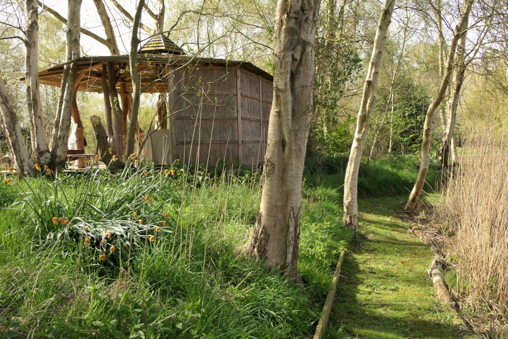 Approaching the Tree House