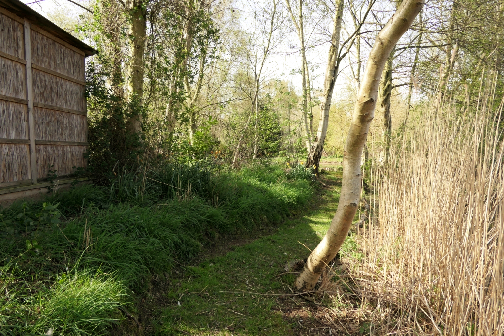 Passing the Tree House
