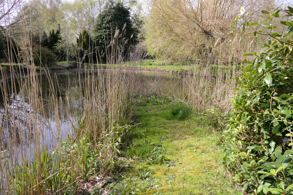Site of Swan Nest