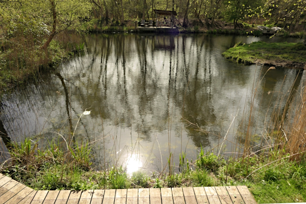 View Of The Pool